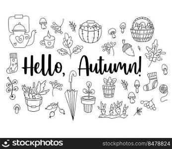 Hello autumn set hand doodles. wicker basket with mushrooms, picking vegetables, an acorn and mushrooms, flowerpot and an umbrella, teapot with cup and knitted socks. Vector Isolated outline elements