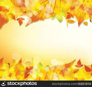 Hello autumn. Thanksgiving leaves background