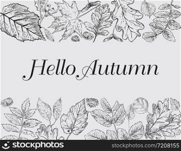 Hello Autumn, vector banner template with hand drawing leaves. Card can be used for invitation, special offer, poster. Vector frame of different autumn foliage in monochrome colors. Vector Illustration
