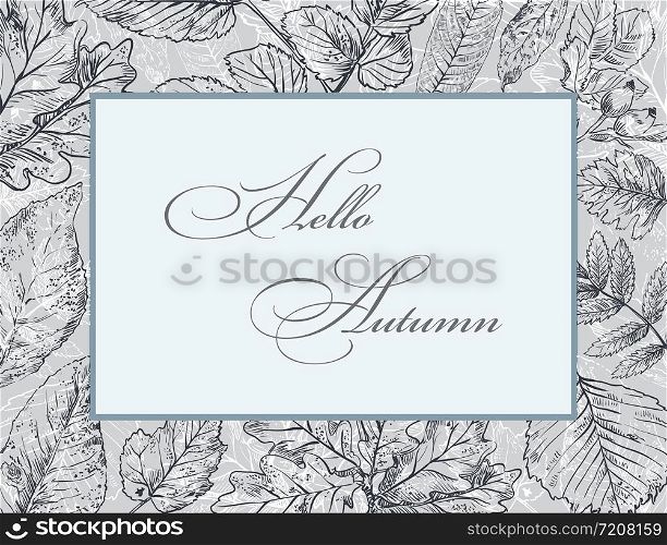 Hello Autumn, vector banner template with hand drawing leaves. Card can be used for invitation, special offer, poster. Vector frame of different autumn foliage in monochrome grey colors. Vector Illustration