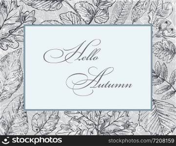 Hello Autumn, vector banner template with hand drawing leaves. Card can be used for invitation, special offer, poster. Vector frame of different autumn foliage in monochrome grey colors. Vector Illustration