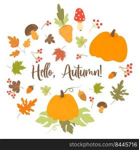 Hello, Autumn. Vector set seasonal harvest, edible mushroom and acorn, fly agaric, carrot and pumpkin, berries and autumn leaves. Isolated elements for fall decor, design, print and decoration