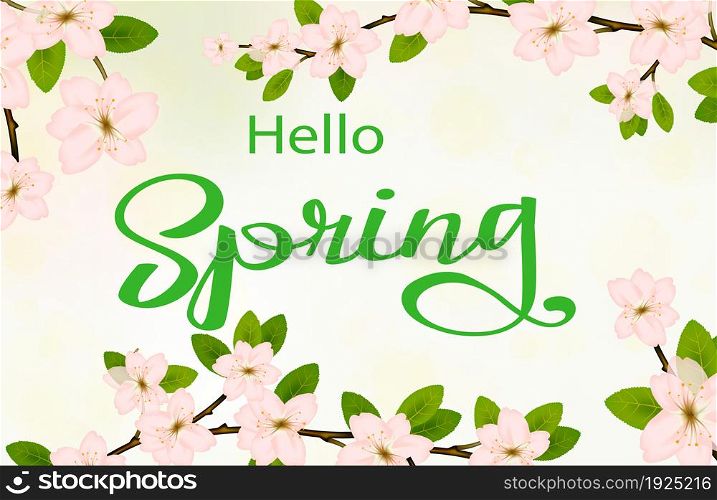 hello spring background with Cherry flower blossom branch, peach bloom, sakura branch with bokeh. Vector illustration. hello spring background with cherry blossoms