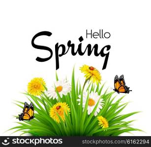 Hello spring background with grass, flowers and butterflies. Vector.