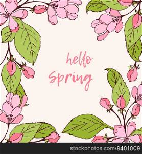 Hello Spring banner with pink cherry flowers.