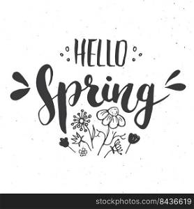 Hello Spring Calligraphy lettering handwritten sign, Hand drawn grunge calligraphic text. Vector illustration .. Hello Spring Calligraphy lettering handwritten sign, Hand drawn grunge calligraphic text. Vector illustration