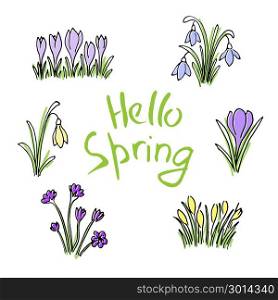 Hello Spring colored sketch set. First flowers and Lettering. Hello Spring colored sketch set. Flowers and Lettering. Cute lilac flowers, snowdrops, crocus, tulips, sketch. Hand drawn. Brush pen. For Poster, Advertising postcards prints textile decoration