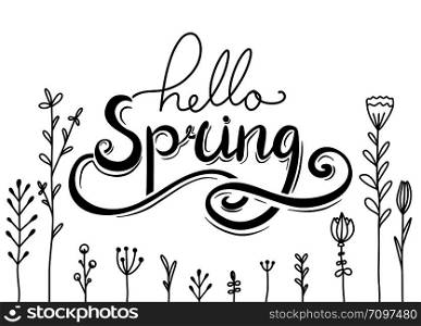Hello, Spring handwritten Lettering with doodle flowers. Horizontal greeting card. Vector element for cards, t-shirt printing and your design. Hello, Spring handwritten Lettering with doodle flowers. Horizontal greeting card.