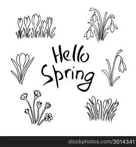 Hello Spring sketch set. Flowers and Lettering. Cute lilac flowers, snowdrops, crocus, tulips, sketch. Hand drawn. Brush pen. For Poster, Advertising postcards prints textile decoration blog. Hello Spring sketch set. First flowers and Lettering