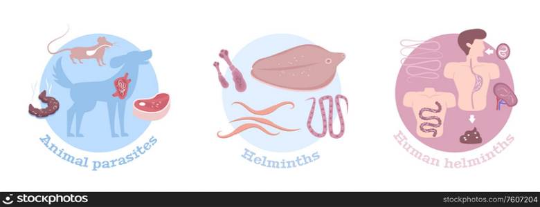 Helminths parasitic worms life cycle stages in humans and animals 3 round flat compositions isolated vector illustration