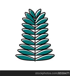 hemlock leaf color icon vector. hemlock leaf sign. isolated symbol illustration. hemlock leaf color icon vector illustration