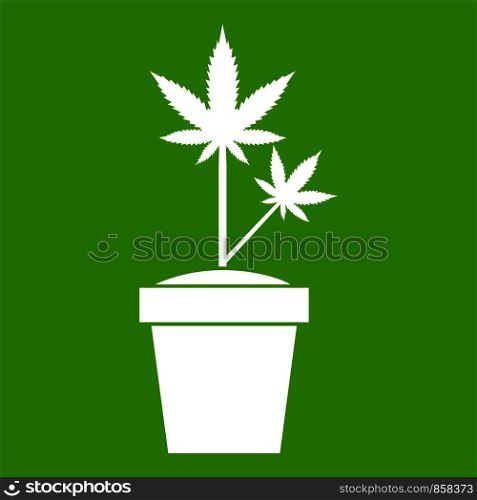 Hemp in pot icon white isolated on green background. Vector illustration. Hemp in pot icon green