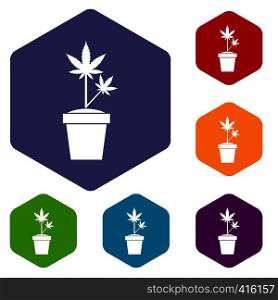 Hemp in pot icons set rhombus in different colors isolated on white background. Hemp in pot icons set