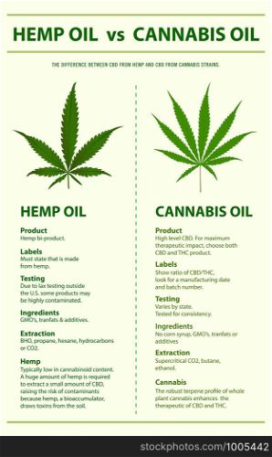 Hemp Oil vs Cannabis Oil vertical infographic illustration about cannabis as herbal alternative medicine and chemical therapy, healthcare and medical science vector.