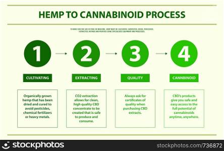 Hemp to cannabinoid process horizontal infographic illustration about cannabis as herbal alternative medicine and chemical therapy, healthcare and medical science vector.