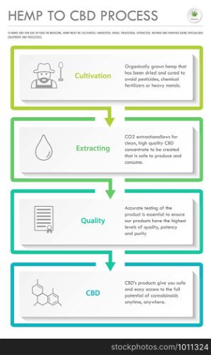 Hemp to CBD Process vertical business infographic illustration about cannabis as herbal alternative medicine and chemical therapy, healthcare and medical science vector.
