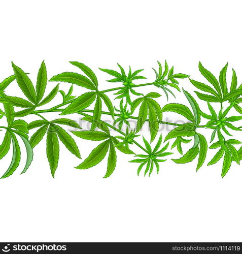 hemp vector pattern on white background. hemp vector pattern