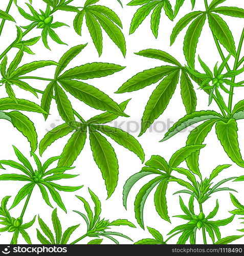 hemp vector pattern on white background. hemp vector pattern