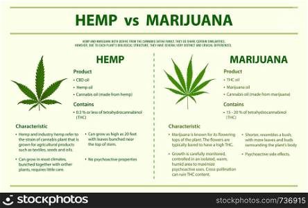 Hemp vs Marijuana horizontal infographic illustration about cannabis as herbal alternative medicine and chemical therapy, healthcare and medical science vector.