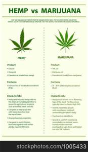 Hemp vs Marijuana vertical infographic illustration about cannabis as herbal alternative medicine and chemical therapy, healthcare and medical science vector.