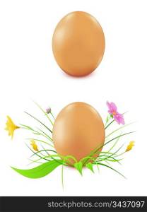 hen&acute;s eggs on a white background, green grass and flowers