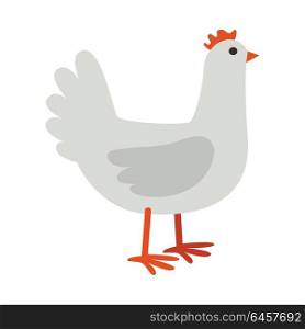 Hen illustration. Vector in flat style design. Domestic animal. Country inhabitants concept. Picture for farming, animal husbandry, meat and feather production companies. Isolated on white background.. Hen Flat Design Vector Illustration on White.