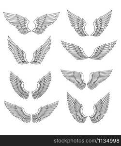 Heraldic wings and feather set for design, isolated on white. Heraldic wings set