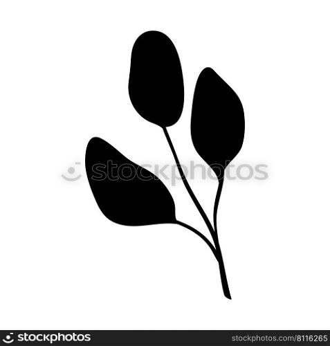 Herb and forest plant with 3 leaves. One sprig of grass with elegant leaves. botanical rustic pattern
