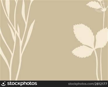 herb and sheet on brown background, vector illustration