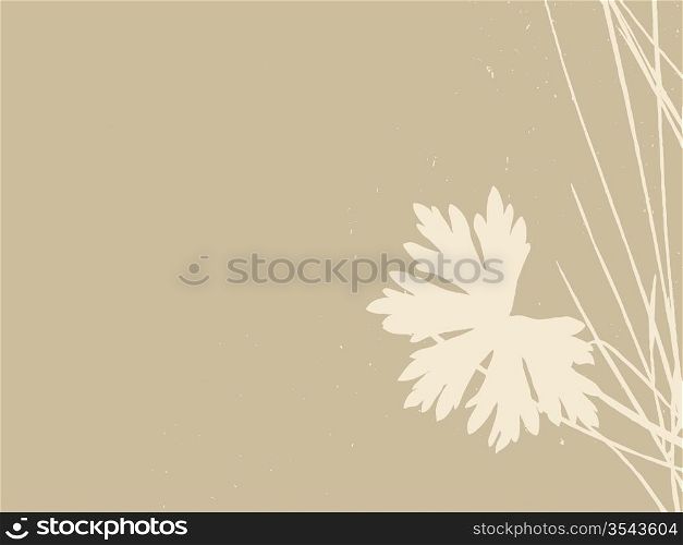 herb on brown background, vector illustration