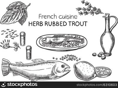 Herb Rubbed Trout. Creative conceptual vector. Sketch hand drawn french food recipe illustration, engraving, ink, line art, vector.