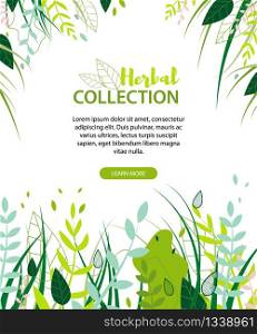Herbal Collection Flat Cartoon Poster Vector Illustration. Wildflower, Herbs, Leaf Landing Page. Foliage, Branches on White Background, Eucalyptus, Exotic Leaves for Natural Cosmetics Advertisement.