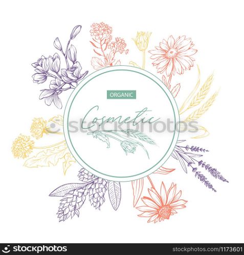 Herbal cosmetics hand drawn vector sticker. Round frame with color wild plants and lettering on white background. Skin care product with bio ingredients label, badge design. Floral border with text. Herbal organic cosmetics hand drawn sticker