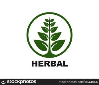 herbal leaf medicine logo icon vector illustration design template