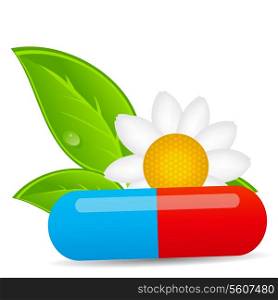 Herbal pill icon.Environment background vector illustration