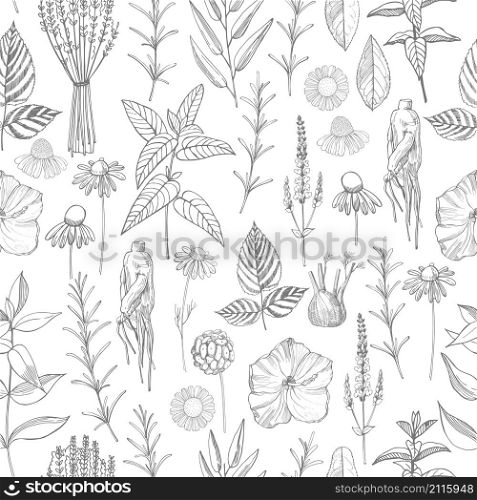 Herbal plants. Plants for natural cosmetics. Organic cosmetics background. Vector seamless pattern. . Herbal plants. Plants for natural cosmetics