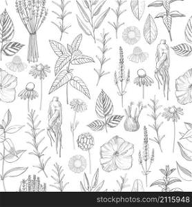 Herbal plants. Plants for natural cosmetics. Organic cosmetics background. Vector seamless pattern. . Herbal plants. Plants for natural cosmetics