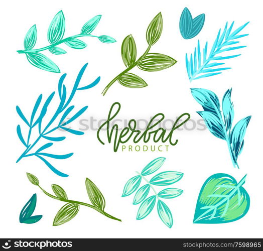 Herbal product vector, green and blue hues of foliage and flora of plants, healthy ingredients and organic base of productions greenery and freshness. Herbal Product, Foliage Leaves of Plants Vector