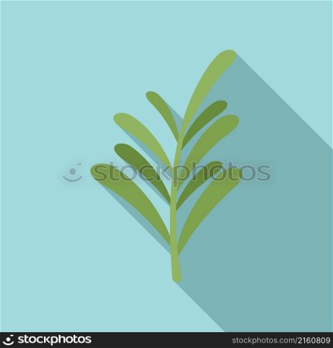 Herbal rosemary icon flat vector. Herb plant. Leaf branch. Herbal rosemary icon flat vector. Herb plant