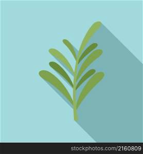 Herbal rosemary icon flat vector. Herb plant. Leaf branch. Herbal rosemary icon flat vector. Herb plant