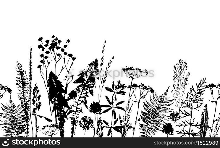 Herbal seamless pattern. Botanical border. Vector grass background. Design element for green, organic, eco, herbal medicine and other uses.. Herbal seamless pattern. Botanical border. Vector grass background.