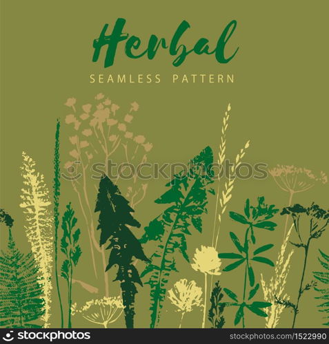 Herbal seamless pattern. Botanical border. Vector grass background. Design element for green, organic, eco, herbal medicine and other uses.. Herbal seamless pattern. Botanical border. Vector grass background.