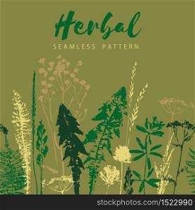 Herbal seamless pattern. Botanical border. Vector grass background. Design element for green, organic, eco, herbal medicine and other uses.. Herbal seamless pattern. Botanical border. Vector grass background.
