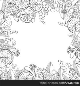 Herbal tea background. Vector sketch illustration.