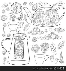 Herbal tea set. Vector sketch illustration.