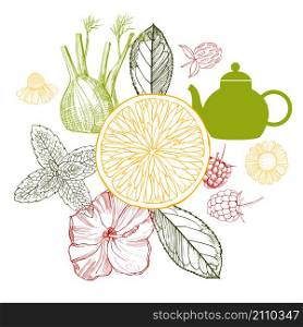 Herbal tea. Vector sketch illustration.