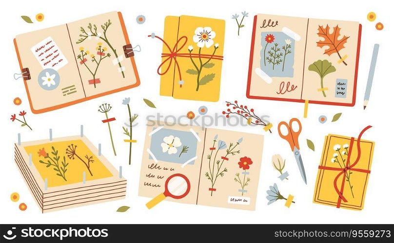 Herbarium set. Cozy autumn flowers and leaves set. Autumn vector illustration for Fall mood poster, sticker, postcard, flyer template. Vector illustration