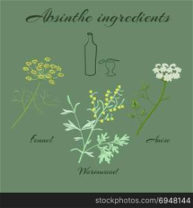 Herbs absinthe ingredients.. Absinthe ingredients. Grand wormwood or Artemisia absinthium , green anise or Pimpinella anisum, sweet fennel or Foeniculum vulgare. Vector illustration.