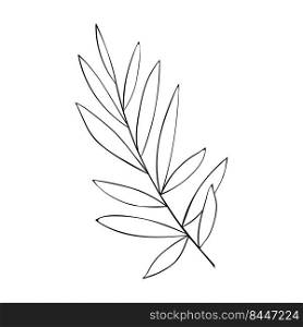 Herbs and forest plants. A large branch with leaves, a simple botanical pattern for cards and invitations