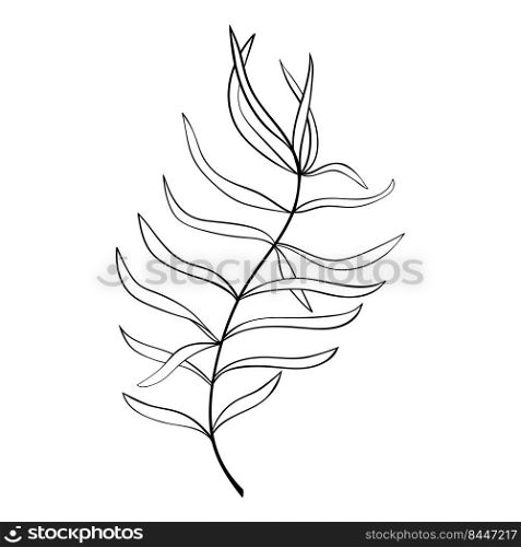 herbs and forest plants branch line art. Botanical decor for invitations and cards